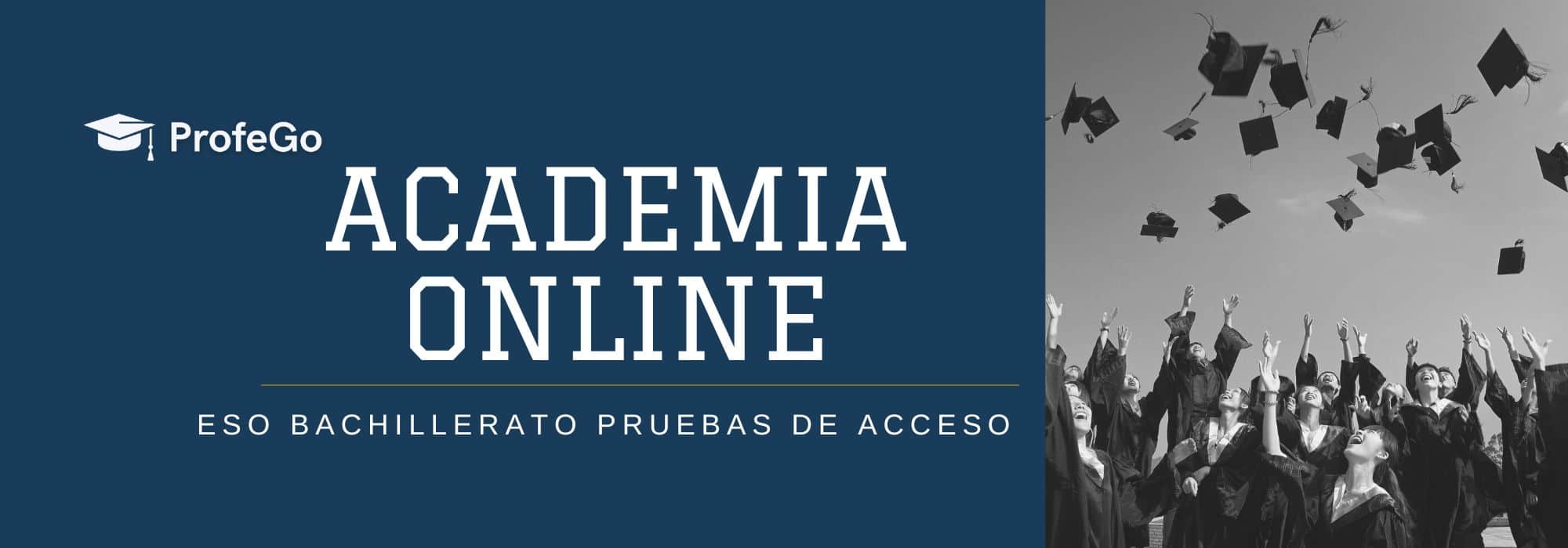 Academia Profego - Clases particulares online de ESO, Bachillerato y Pruebas de Acceso